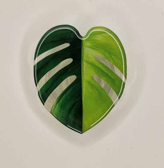 Popsocket Monstera Aurea