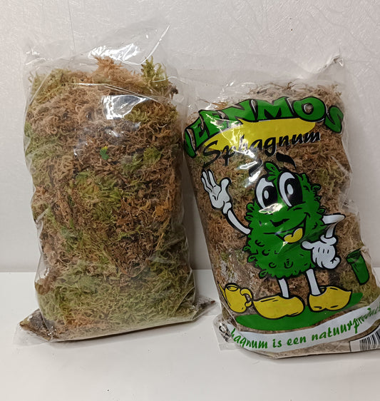 Spaghnum Moos